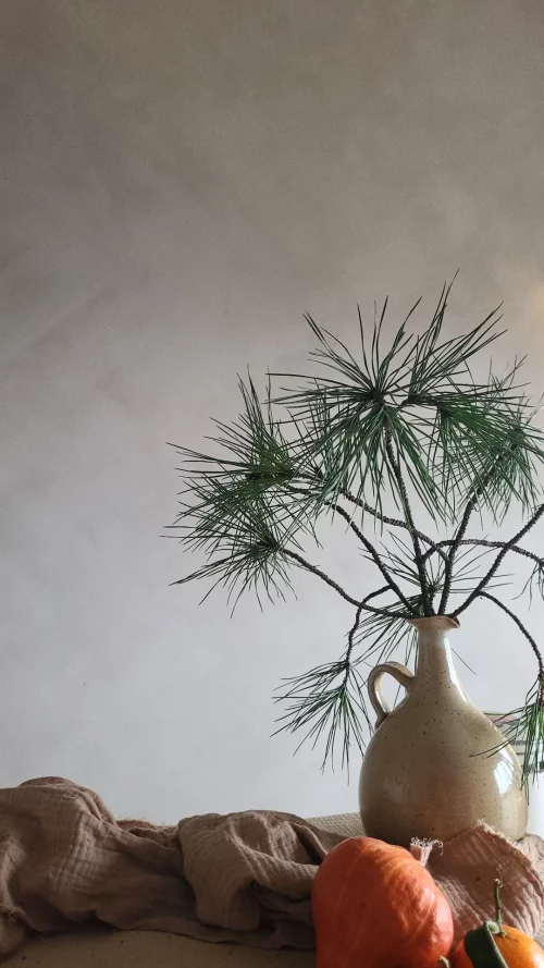 Lubivärv, võõp