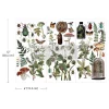 siirdepilt, decor transfer, redesign prima,