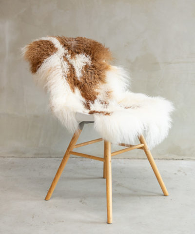 tiibeti lambanhk. toolikate, lambanhk, lammibaum