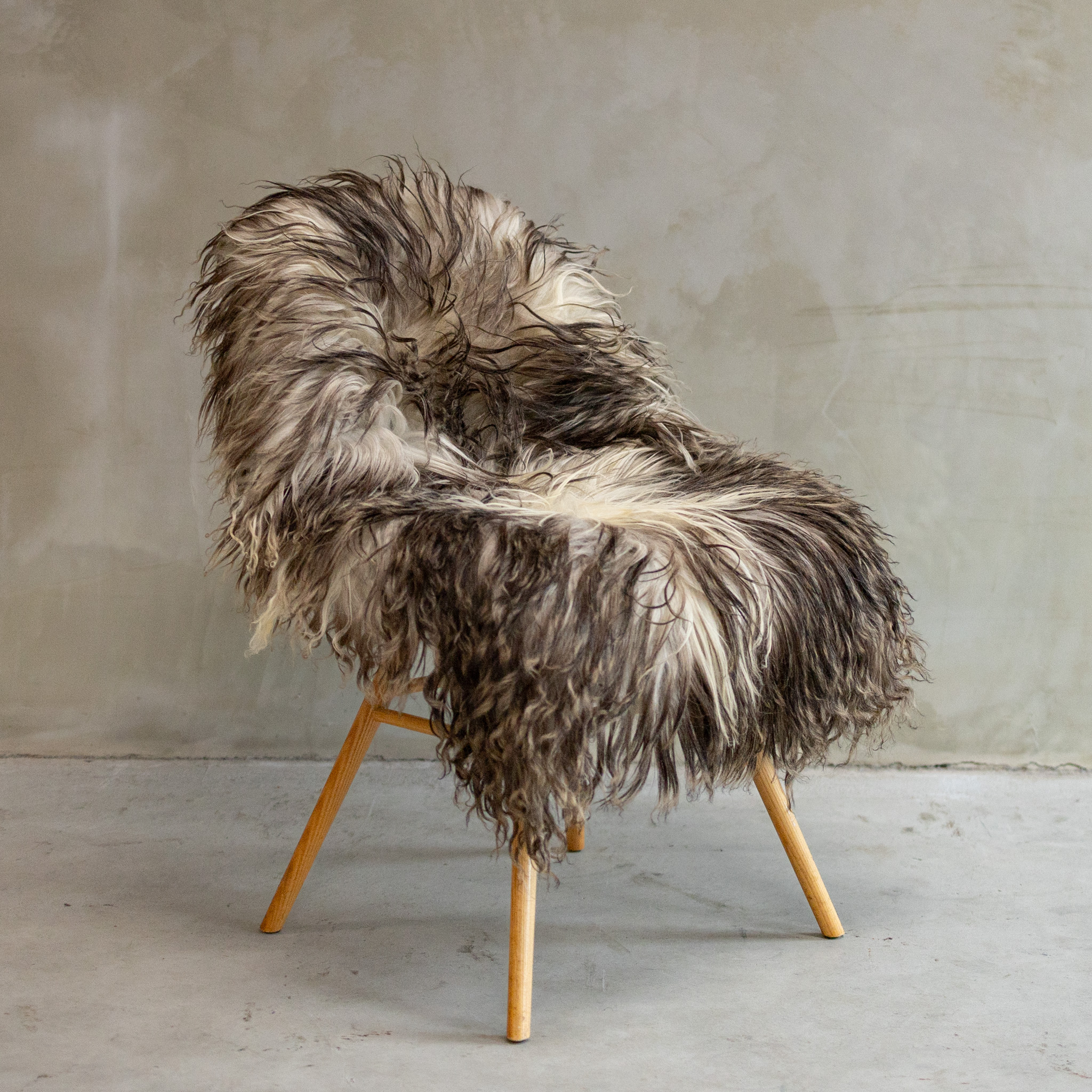 mägilamba, lambanhk, gotlandi lambanahk, van buuren, lammibaum