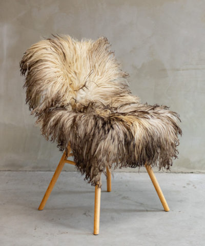 mägilamba, lambanhk, gotlandi lambanahk, van buuren, lammibaum